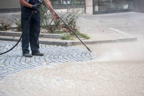 Best Dumpster Area Cleaning  in Hudson, IA
